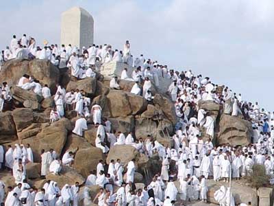 taking people to Hajj